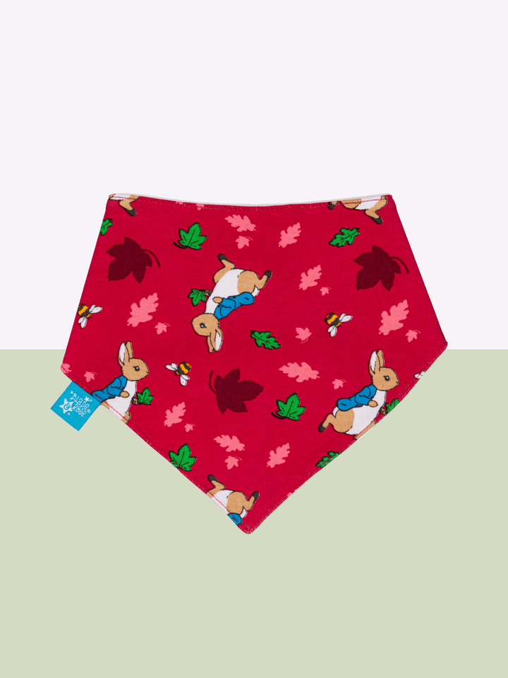 Peter Rabbit™ Bibs