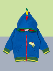 Chameleon Hoodie