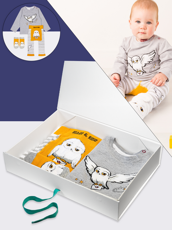 Harry Potter™ Hedwig Gift Box Set