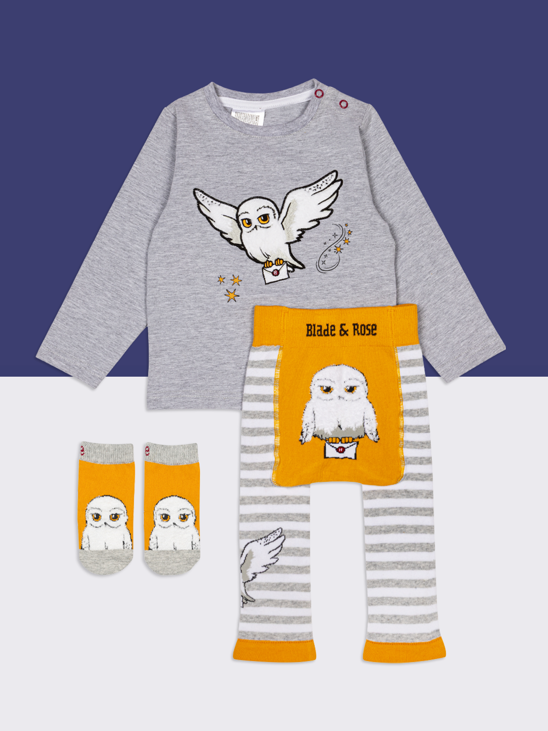Harry Potter™ Hedwig Gift Box Set - Blade & Rose UK