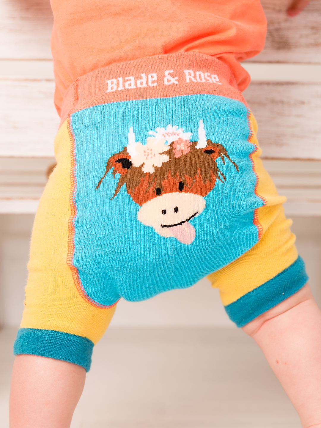 Bonnie Highland Cow Shorts
