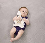 Hedwig Comfort Blanket Toy