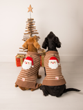 Two dogs wearing the Santa Ho Ho Ho knitted dog jumper in brown and cream stripes