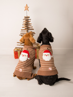 Two dogs wearing the Santa Ho Ho Ho knitted dog jumper in brown and cream stripes